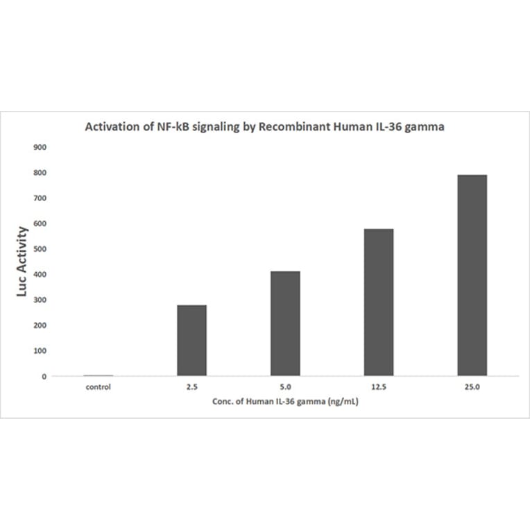 Luciferase Assay - Recombinant Human IL36 gamma/IL-1F9 Protein (A330898) - Antibodies.com