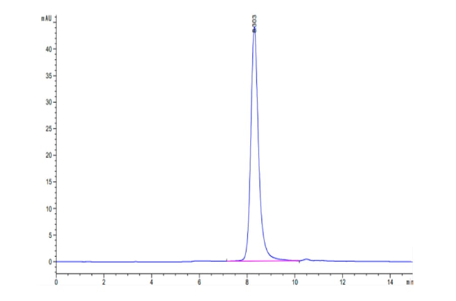 SEC-HPLC - Recombinant Human IL3RA/CD123 Protein (Biotin) (C-terminal His and Avi Tag) (A330905) - Antibodies.com