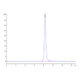 SEC-HPLC - Recombinant Human IL3RA/CD123 Protein (Biotin) (C-terminal His and Avi Tag) (A330905) - Antibodies.com