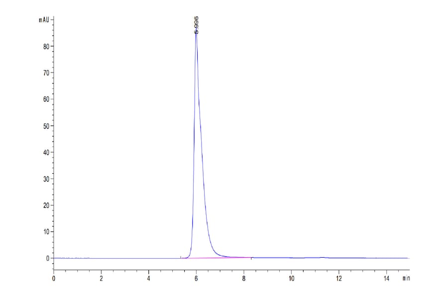 SEC-HPLC - Recombinant Human IL3RA/CD123 Protein (C-terminal Human Fc Tag) (A330906) - Antibodies.com