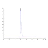 SEC-HPLC - Recombinant Human IL3RA/CD123 Protein (C-terminal Human Fc Tag) (A330906) - Antibodies.com