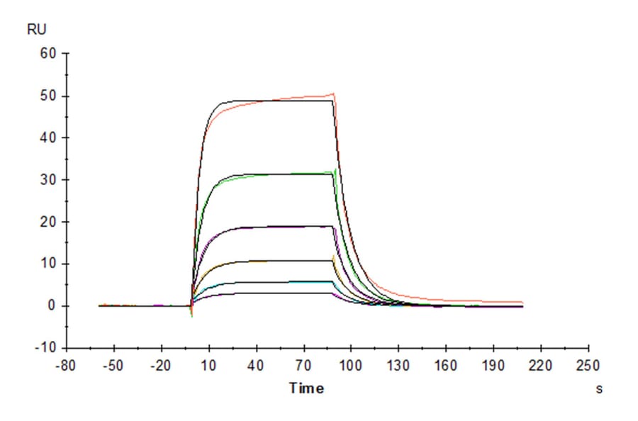 SPR Assay - Recombinant Human IL3RA/CD123 Protein (C-terminal His Tag) (A330907) - Antibodies.com