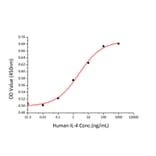 Proliferation Assay - Recombinant Human IL-4 Protein (C-terminal His Tag) (A330911) - Antibodies.com