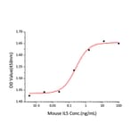 Proliferation Assay - Recombinant Mouse IL-5 Protein (C-terminal His Tag) (A330913) - Antibodies.com