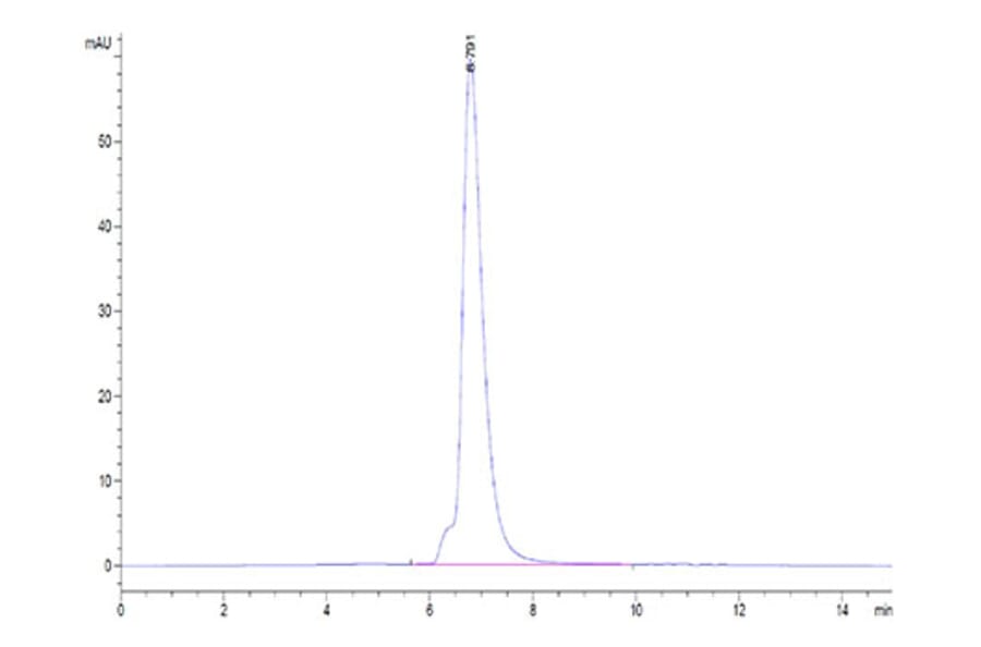 SEC-HPLC - Recombinant Human IL-6R Protein (Biotin) (C-terminal His and Avi Tag) (A330922) - Antibodies.com