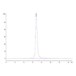 SEC-HPLC - Recombinant Human IL-6R Protein (Biotin) (C-terminal His and Avi Tag) (A330922) - Antibodies.com