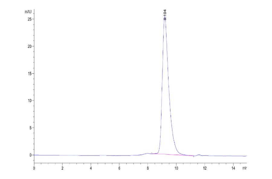 SEC-HPLC - Recombinant Human ILT-4 Protein (Biotin) (C-terminal His and Avi Tag) (A330934) - Antibodies.com