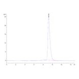 SEC-HPLC - Recombinant Human ILT-4 Protein (Biotin) (C-terminal His and Avi Tag) (A330934) - Antibodies.com
