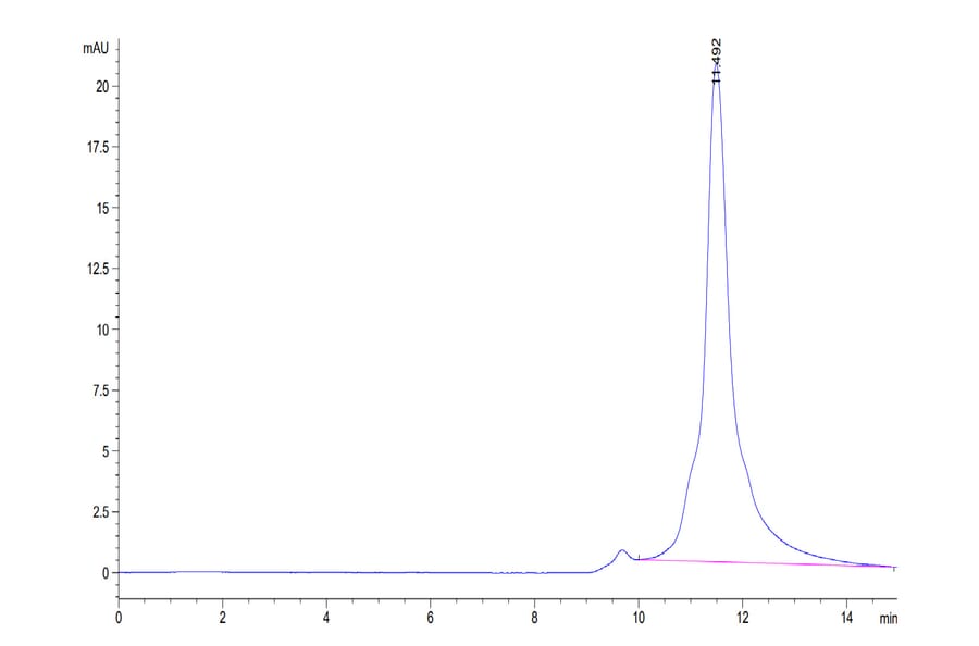 SEC-HPLC - Recombinant Human ILT-4 Protein (C-terminal His Tag) (A330935) - Antibodies.com