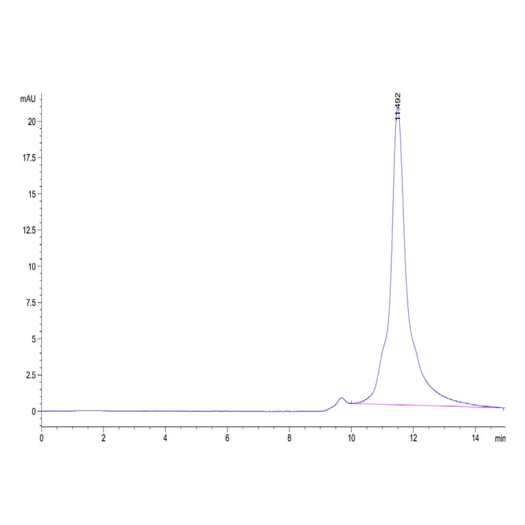 SEC-HPLC - Recombinant Human ILT-4 Protein (C-terminal His Tag) (A330935) - Antibodies.com