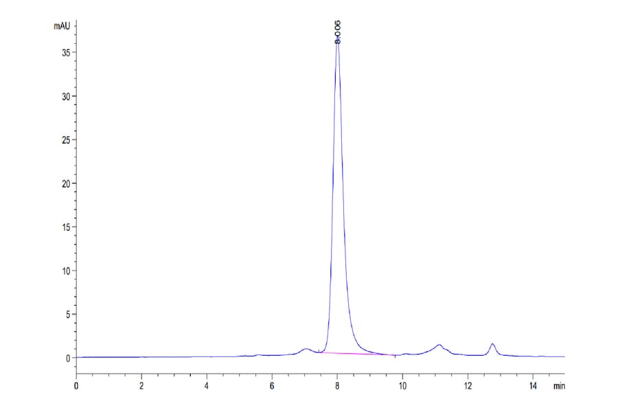 SEC-HPLC - Recombinant Human ILT-4 Protein (C-terminal His and Avi Tag) (A330936) - Antibodies.com