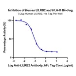 Functional Assay - Recombinant Human ILT-4 Protein (C-terminal His and Avi Tag) (A330936) - Antibodies.com