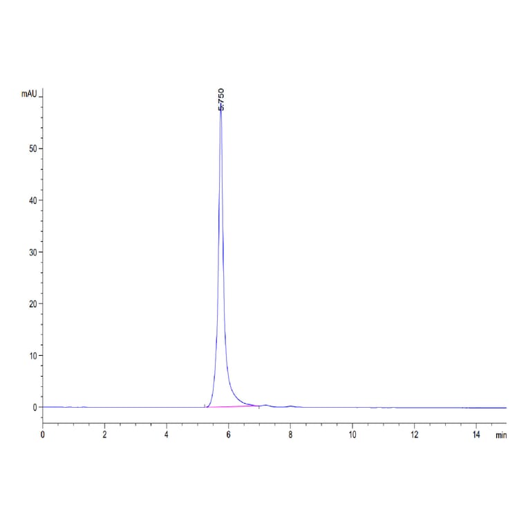 SEC-HPLC - Recombinant Human ILT-4 Protein (C-terminal Human Fc Tag) (A330937) - Antibodies.com