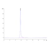 SEC-HPLC - Recombinant Human ILT-4 Protein (C-terminal Human Fc Tag) (A330937) - Antibodies.com