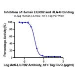 Functional Assay - Recombinant Human ILT-4 Protein (C-terminal Mouse Fc Tag) (A330938) - Antibodies.com