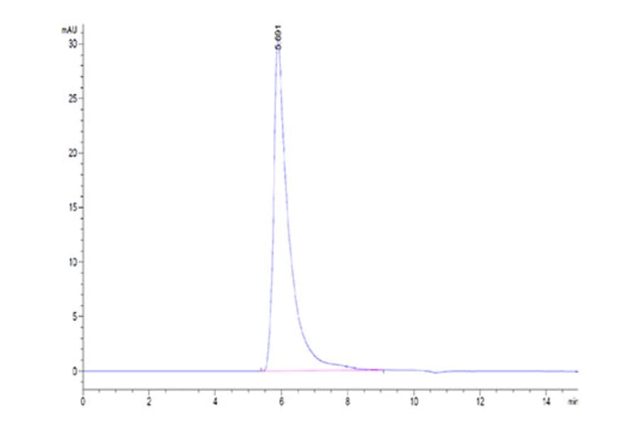 SEC-HPLC - Recombinant Human Integrin alpha 5 + Integrin beta 1 Protein (C-terminal His and Avi Tag) (A330943) - Antibodies.com