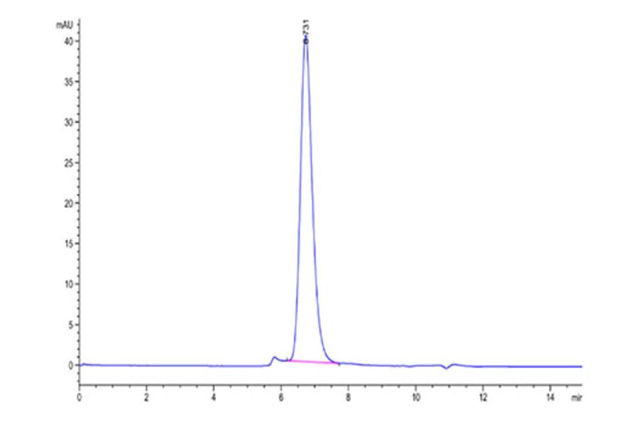SEC-HPLC - Recombinant Human Interferon alpha/beta Receptor 1 Protein (Biotin) (C-terminal His and Avi Tag) (A330946) - Antibodies.com