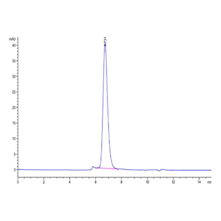 SEC-HPLC - Recombinant Human Interferon alpha/beta Receptor 1 Protein (Biotin) (C-terminal His and Avi Tag) (A330946) - Antibodies.com