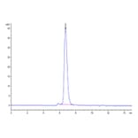 SEC-HPLC - Recombinant Human Interferon alpha/beta Receptor 1 Protein (Biotin) (C-terminal His and Avi Tag) (A330946) - Antibodies.com