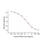 Cytotoxicity Assay - Recombinant Human Interferon omega Protein (C-terminal His Tag) (A330949) - Antibodies.com
