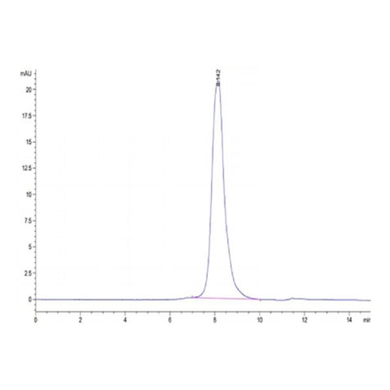 SEC-HPLC - Recombinant Human Intestinal Alkaline Phosphatase Protein (N-terminal His and Flag Tag) (A330951) - Antibodies.com