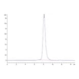 SEC-HPLC - Recombinant Human Intestinal Alkaline Phosphatase Protein (N-terminal His and Flag Tag) (A330951) - Antibodies.com