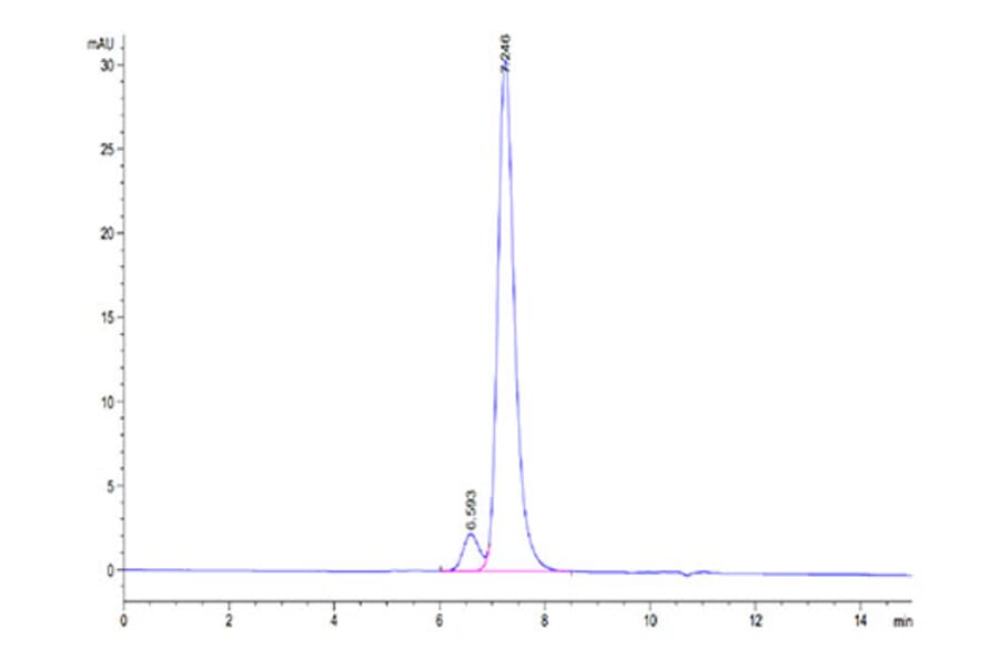 SEC-HPLC - Recombinant Human KIR2DL2 Protein (Biotin) (C-terminal His and Avi Tag) (A330968) - Antibodies.com