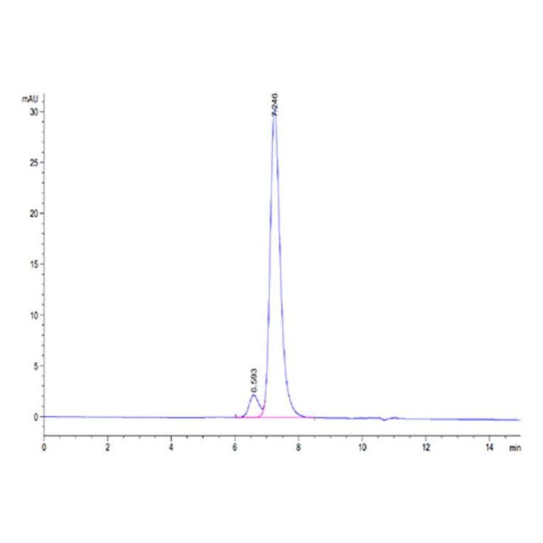 SEC-HPLC - Recombinant Human KIR2DL2 Protein (Biotin) (C-terminal His and Avi Tag) (A330968) - Antibodies.com