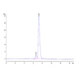 SEC-HPLC - Recombinant Human KIR2DL2 Protein (Biotin) (C-terminal His and Avi Tag) (A330968) - Antibodies.com