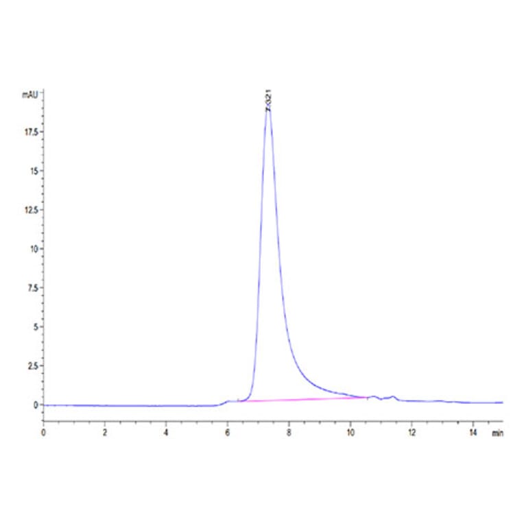 SEC-HPLC - Recombinant Human KIR3DL2 Protein (C-terminal His and Avi Tag) (A330972) - Antibodies.com