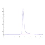 SEC-HPLC - Recombinant Human KIR3DL2 Protein (C-terminal His and Avi Tag) (A330972) - Antibodies.com
