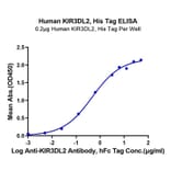 Standard Curve - Recombinant Human KIR3DL2 Protein (C-terminal His and Avi Tag) (A330972) - Antibodies.com