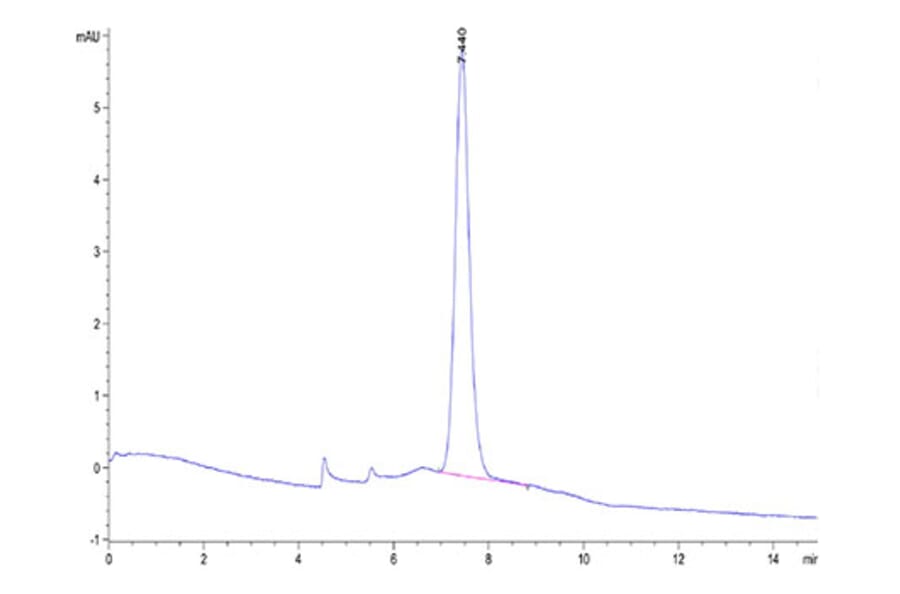 SEC-HPLC - Recombinant Human KIR3DL3 Protein (C-terminal His and Avi Tag) (A330973) - Antibodies.com