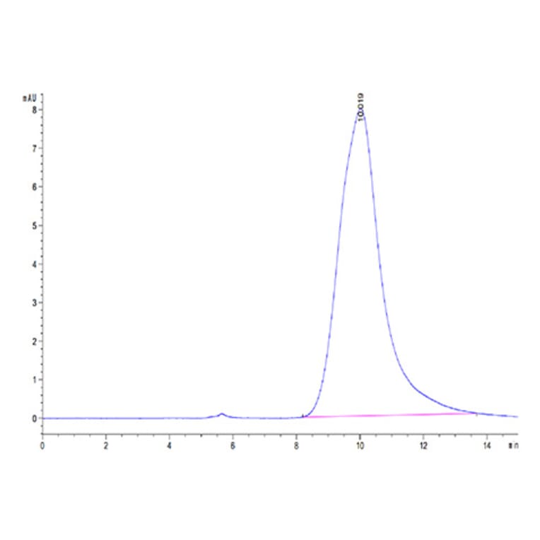 SEC-HPLC - Recombinant Human KLKB1 Protein (C-terminal His Tag) (A330975) - Antibodies.com