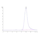 SEC-HPLC - Recombinant Human KLKB1 Protein (C-terminal His Tag) (A330975) - Antibodies.com