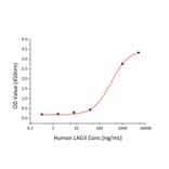 Standard Curve - Recombinant Human LAG-3 Protein (C-terminal His Tag) (A330980) - Antibodies.com