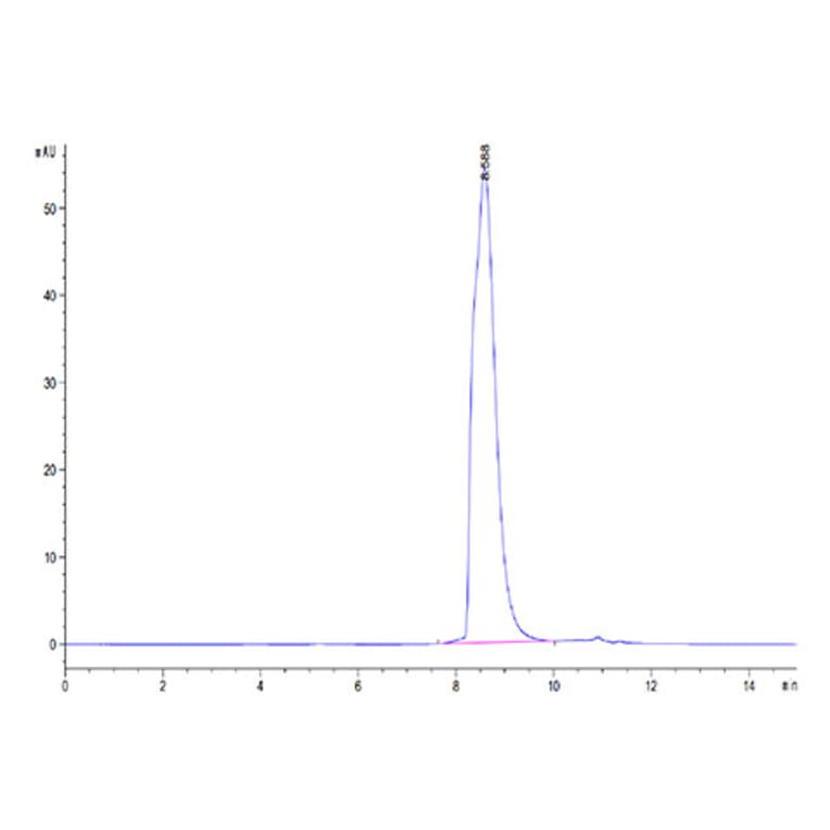 SEC-HPLC - Recombinant Human LAG-3 Protein (Biotin) (C-terminal His and Avi Tag) (A330981) - Antibodies.com