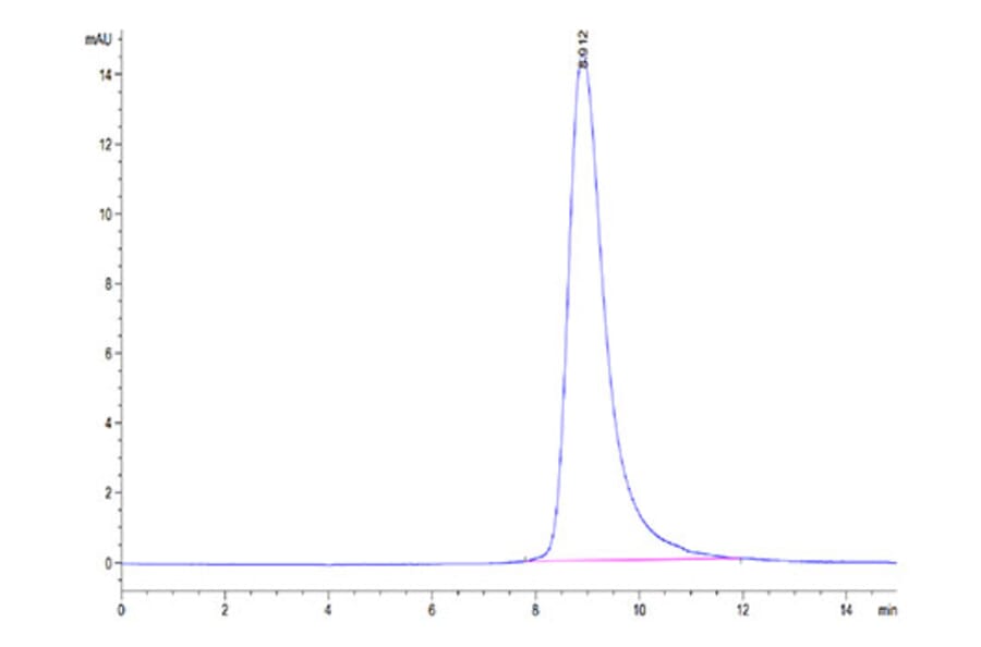 SEC-HPLC - Recombinant Human LAIR2 Protein (Biotin) (C-terminal His and Avi Tag) (A330985) - Antibodies.com