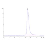 SEC-HPLC - Recombinant Human LAIR2 Protein (Biotin) (C-terminal His and Avi Tag) (A330985) - Antibodies.com