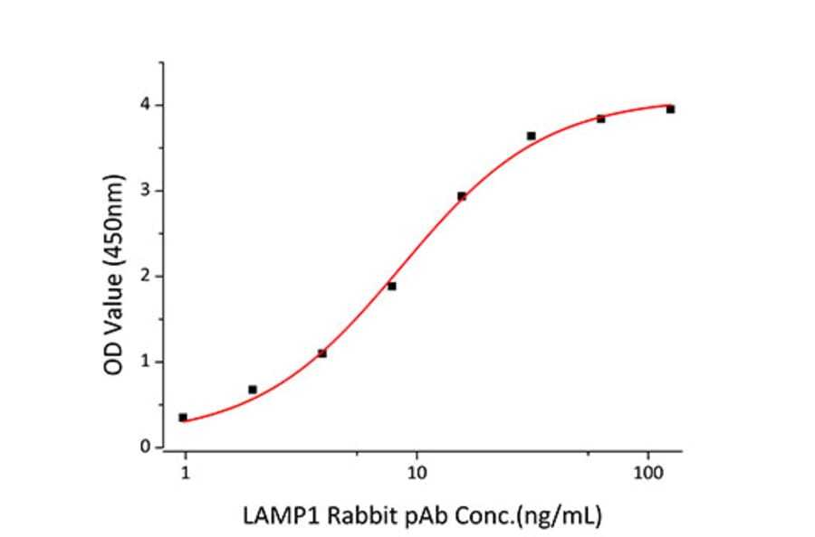 Standard Curve - Recombinant Human LAMP1 Protein (C-terminal His Tag) (A330986) - Antibodies.com