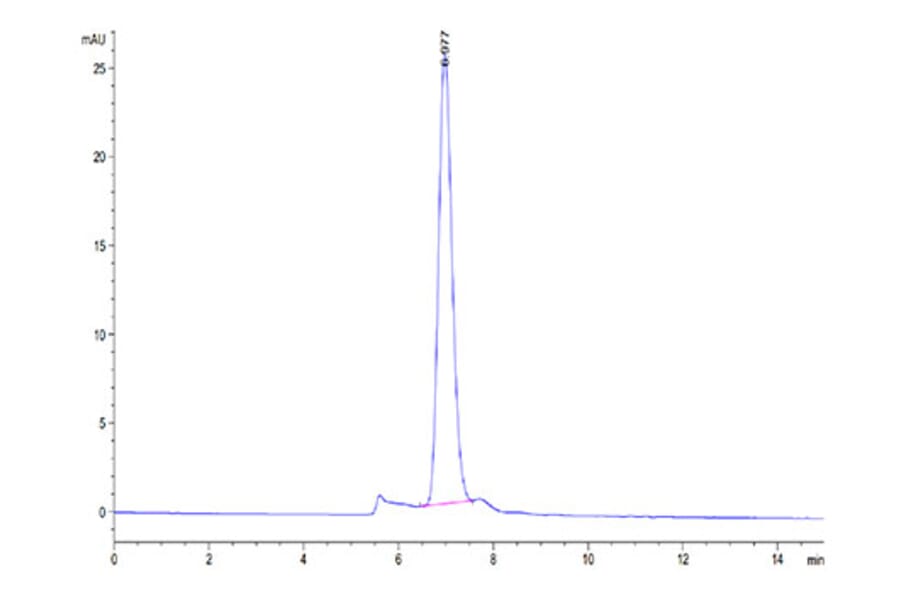 SEC-HPLC - Recombinant Cynomolgus macaque LDLR Protein (C-terminal His Tag) (A330991) - Antibodies.com