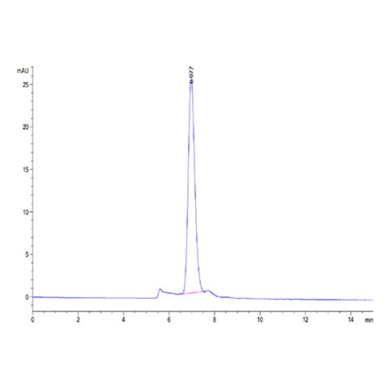 SEC-HPLC - Recombinant Cynomolgus macaque LDLR Protein (C-terminal His Tag) (A330991) - Antibodies.com