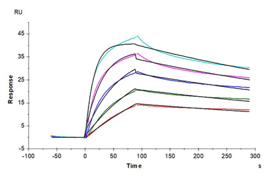 SPR Assay - Recombinant Cynomolgus macaque LDLR Protein (C-terminal His Tag) (A330991) - Antibodies.com