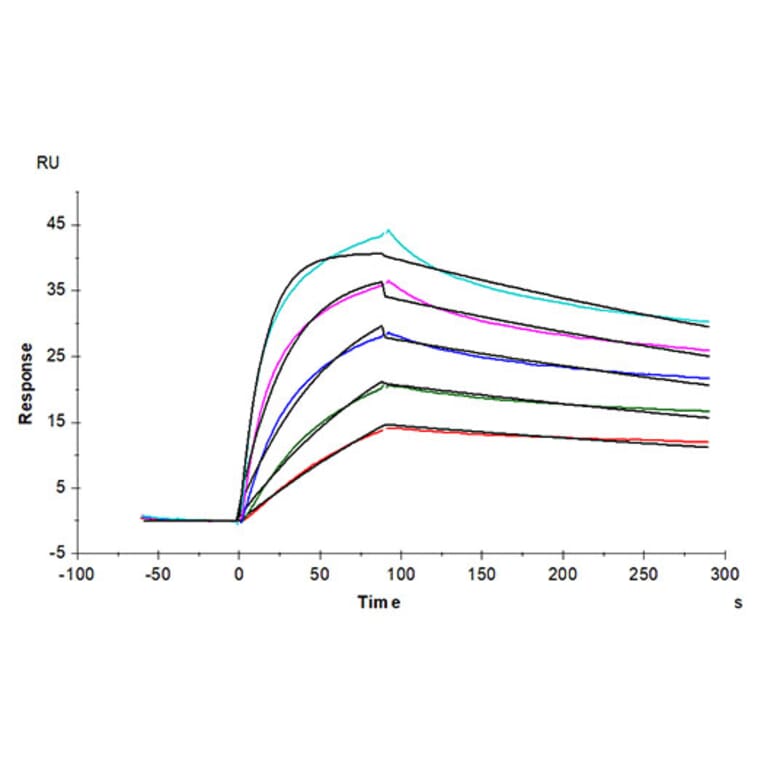 SPR Assay - Recombinant Cynomolgus macaque LDLR Protein (C-terminal His Tag) (A330991) - Antibodies.com