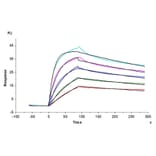 SPR Assay - Recombinant Cynomolgus macaque LDLR Protein (C-terminal His Tag) (A330991) - Antibodies.com