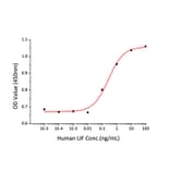 Proliferation Assay - Recombinant Human LIF Protein (A330998) - Antibodies.com