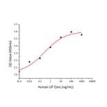 Proliferation Assay - Recombinant Human LIF Protein (C-terminal His Tag) (A330999) - Antibodies.com