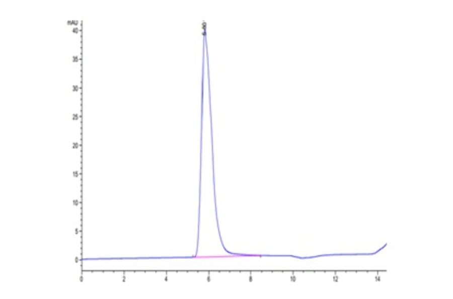 SEC-HPLC - Recombinant Human LIFR Protein (C-terminal Human Fc Tag) (A331000) - Antibodies.com