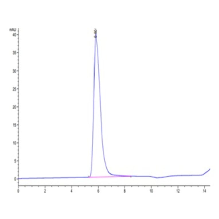 SEC-HPLC - Recombinant Human LIFR Protein (C-terminal Human Fc Tag) (A331000) - Antibodies.com