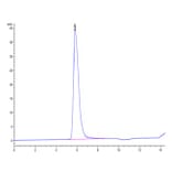SEC-HPLC - Recombinant Human LIFR Protein (C-terminal Human Fc Tag) (A331000) - Antibodies.com